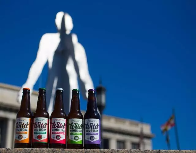 Wild Kombucha