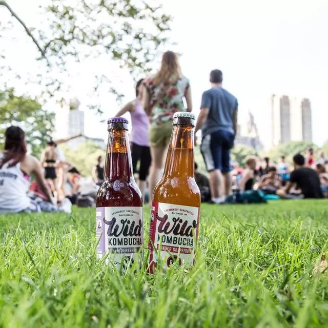 Wild Kombucha