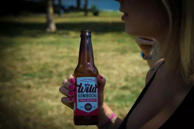 Wild Kombucha