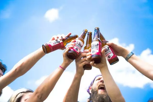 Wild Kombucha