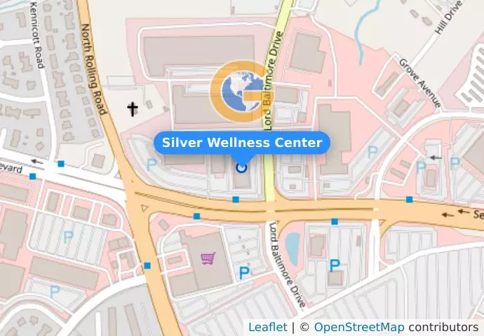 Silver Wellness Center
