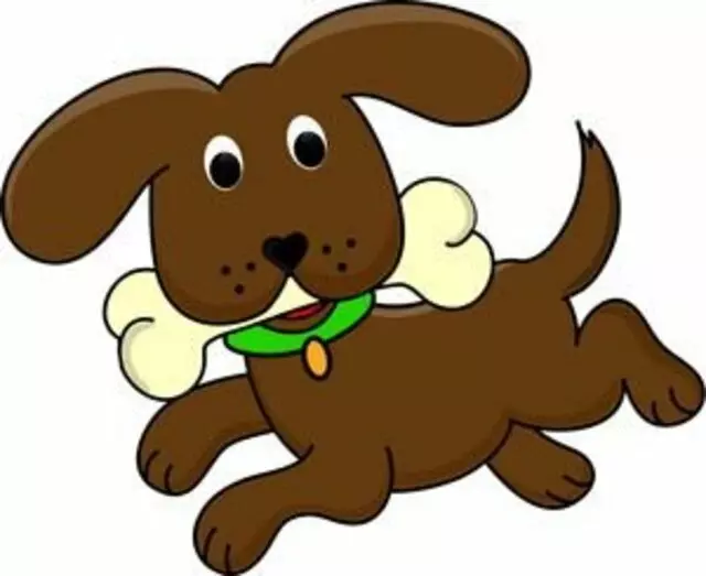 Paws Up Services