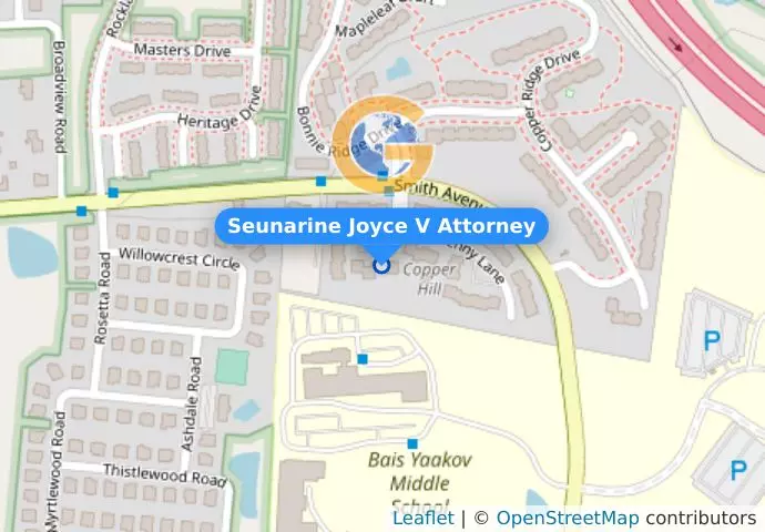 Seunarine Joyce V Attorney
