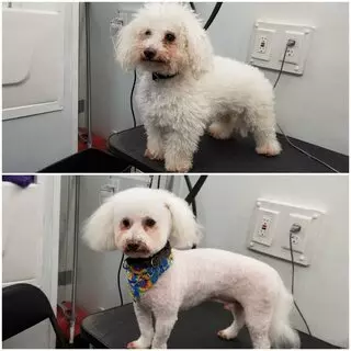 Millie's Spas