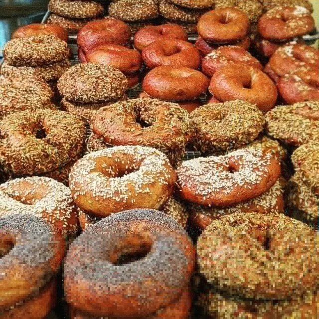 Ovenbird Bakery