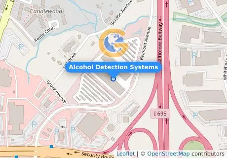 Alcohol Detection Systems