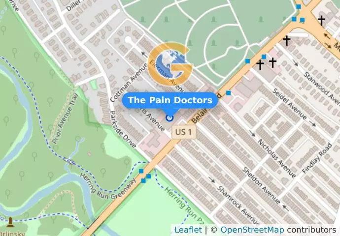 The Pain Doctors