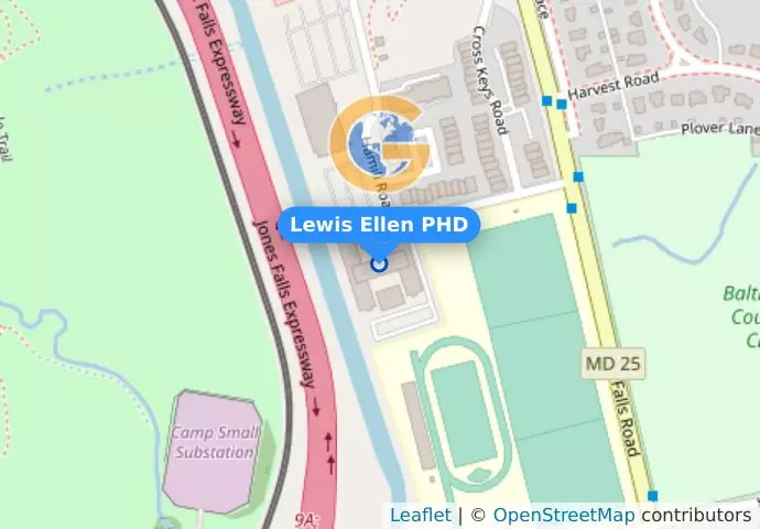 Lewis Ellen PHD