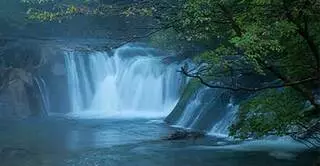 Aaduri Healing Arts