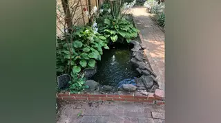 C&C Lawn Care