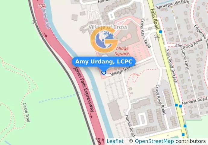 Amy Urdang, LCPC