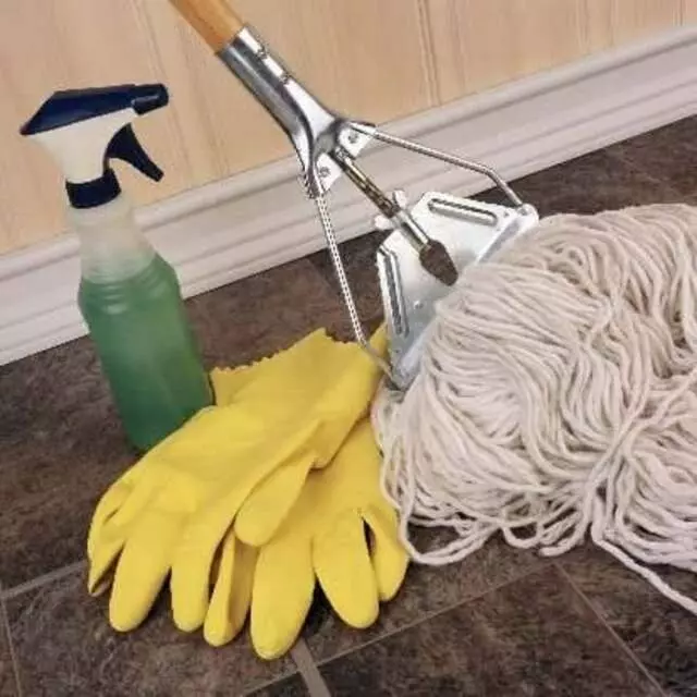 Ace Pro Cleaning