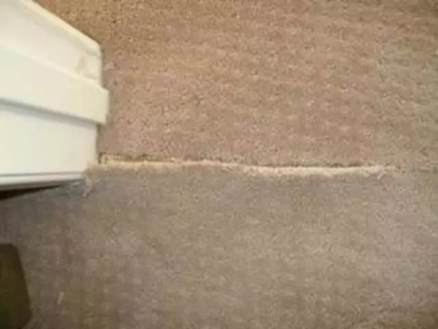 Ace Pro Cleaning