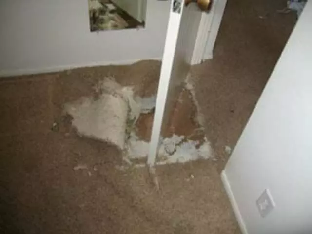 Ace Pro Cleaning