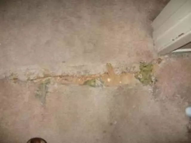 Ace Pro Cleaning