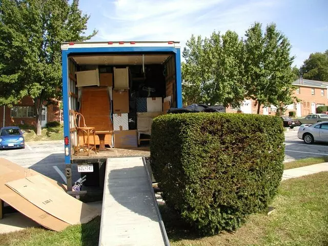 Abba Moving