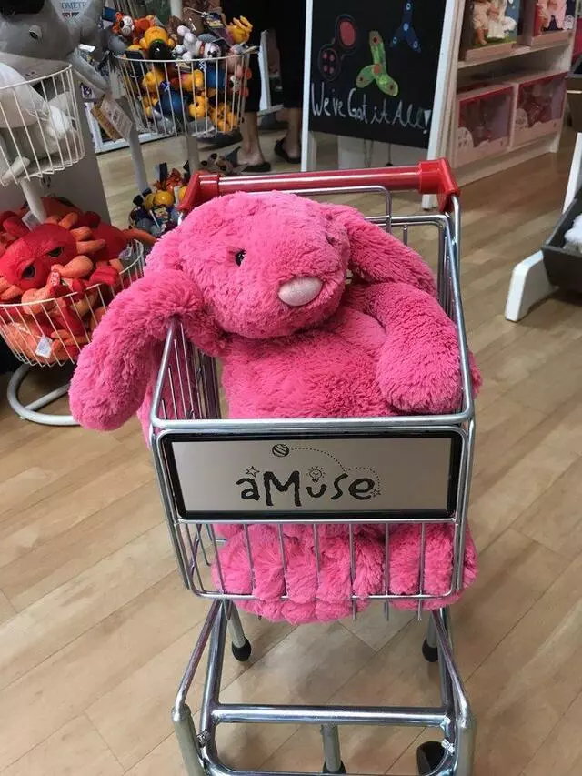 aMuse Toys