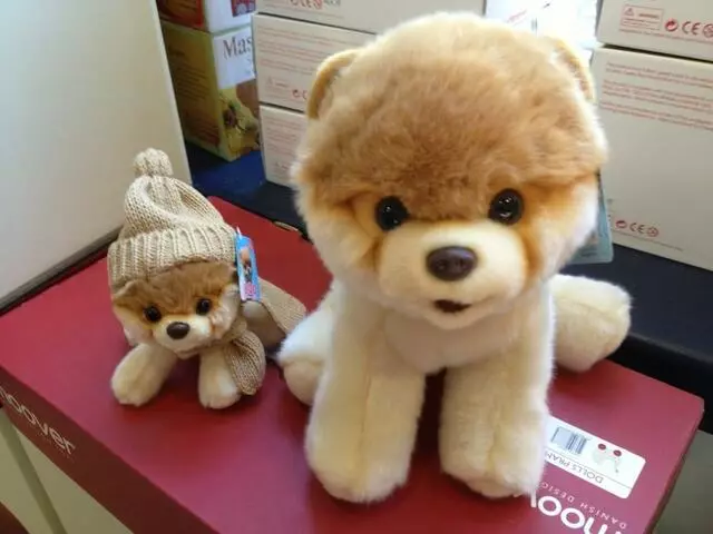 aMuse Toys