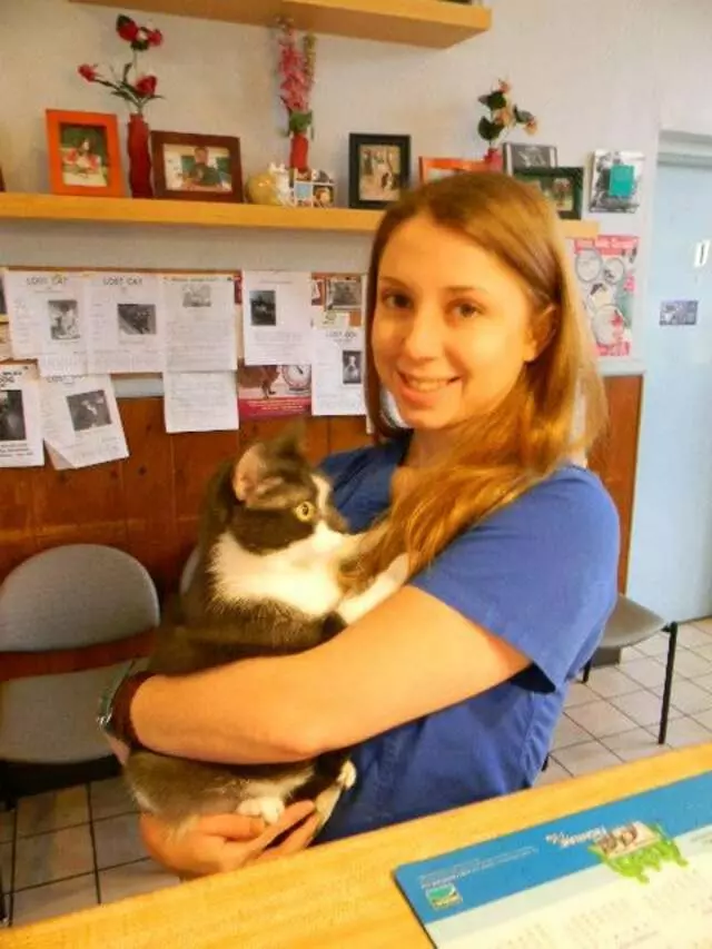 Aardmore Veterinary Hospital