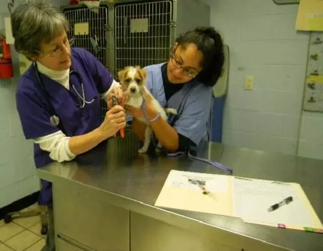 Aardmore Veterinary Hospital