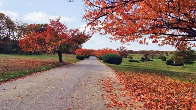 Arbutus Memorial Park