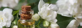 Austin Pharmacy
