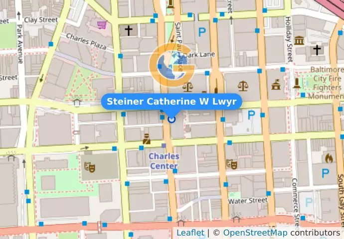 Steiner Catherine W Lwyr