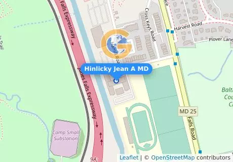 Hinlicky Jean A MD