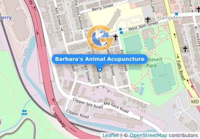 Barbara&apos;s Animal Acupuncture