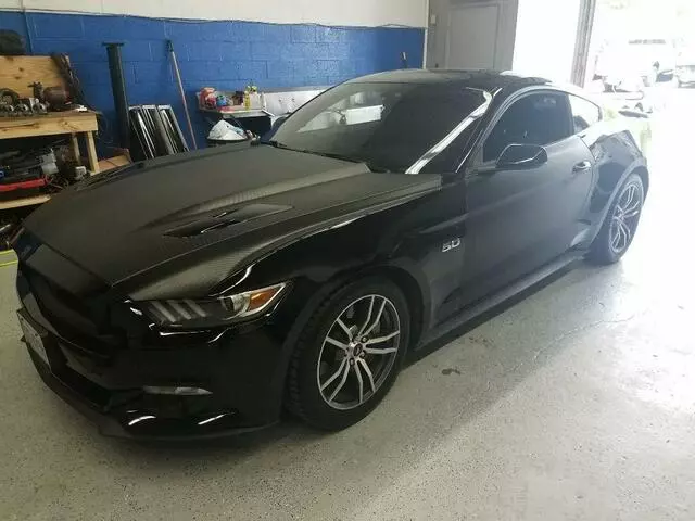 Auto Wrap & Tint