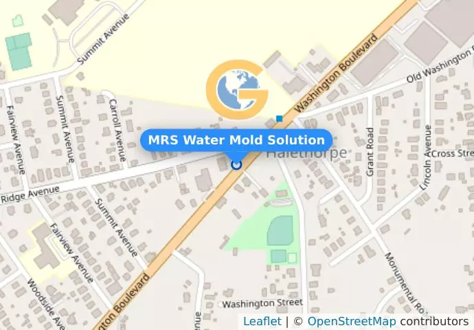 MRS Water Mold Solution