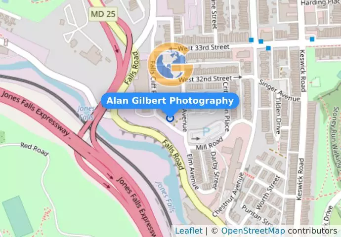 Alan Gilbert Photography