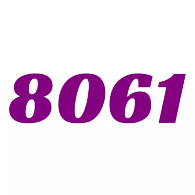 8061.biz