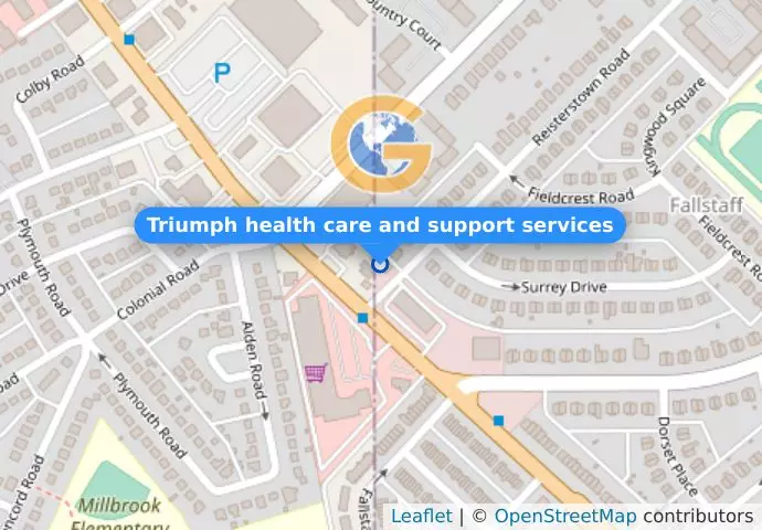 Triumph health care and support services