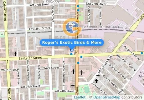 Roger’s Exotic Birds & More