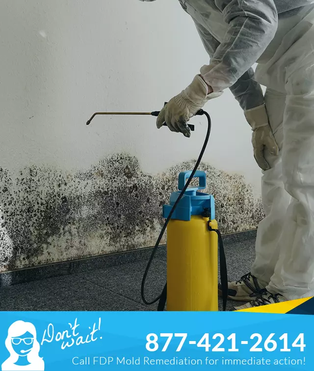 FDP Mold Remediation