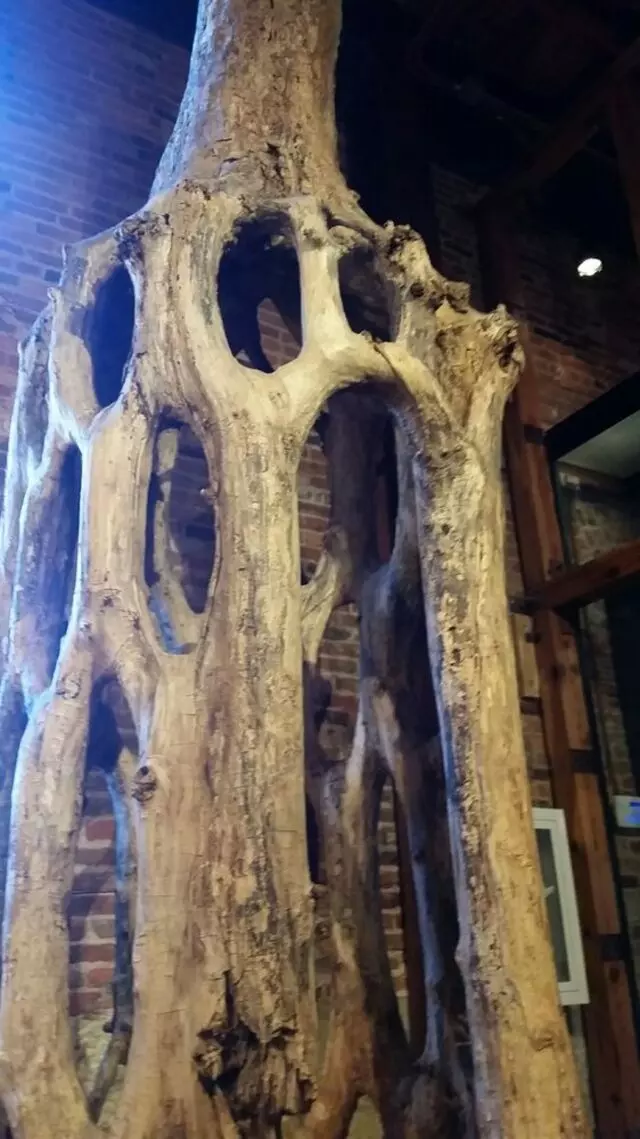 American Visionary Art Museum