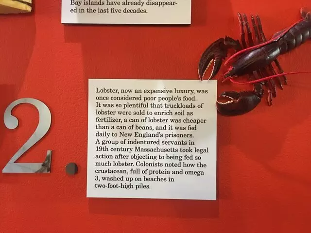 American Visionary Art Museum