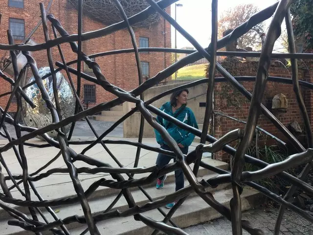 American Visionary Art Museum