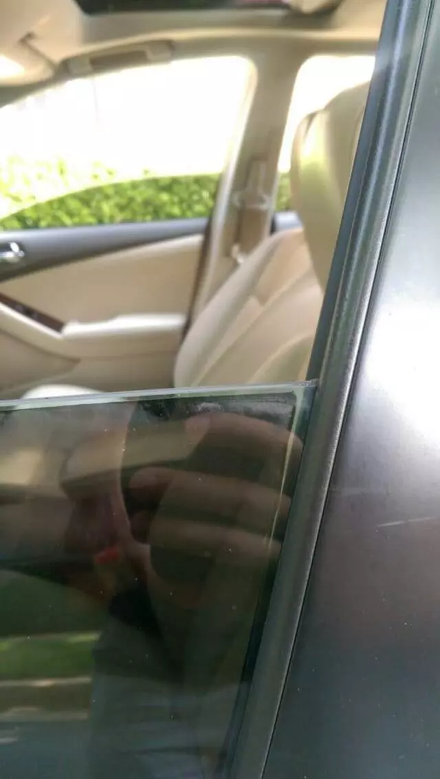 Auto Tint King