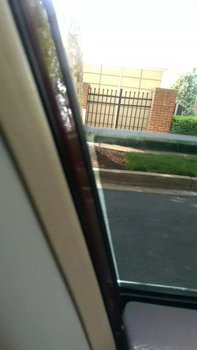 Auto Tint King