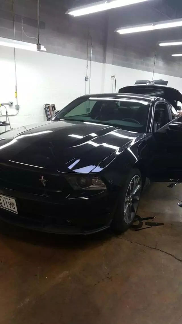 Auto Tint King