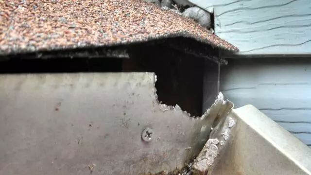 At Once Pest Control