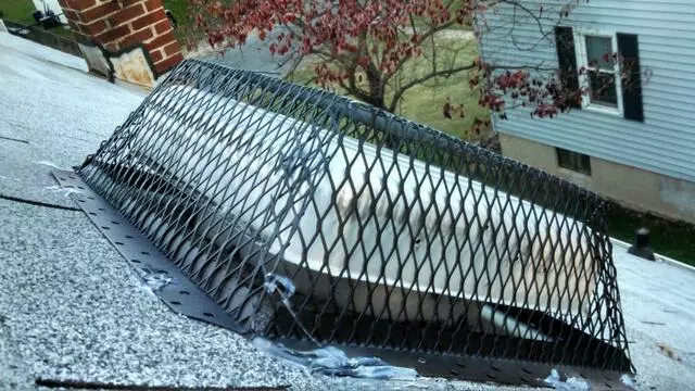 At Once Pest Control
