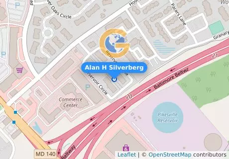 Alan H Silverberg