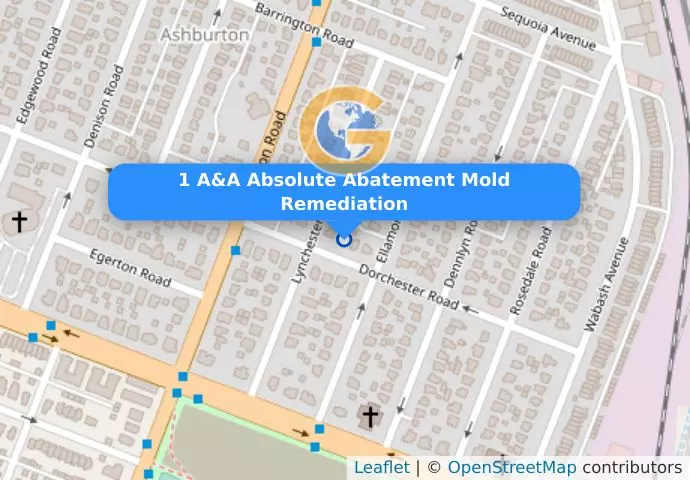 1 A&A Absolute Abatement Mold Remediation