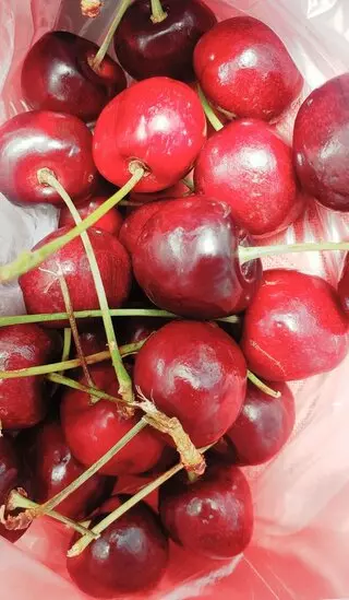 Harvest Fare