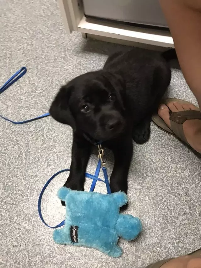 Doc Side Veterinary Medical Center