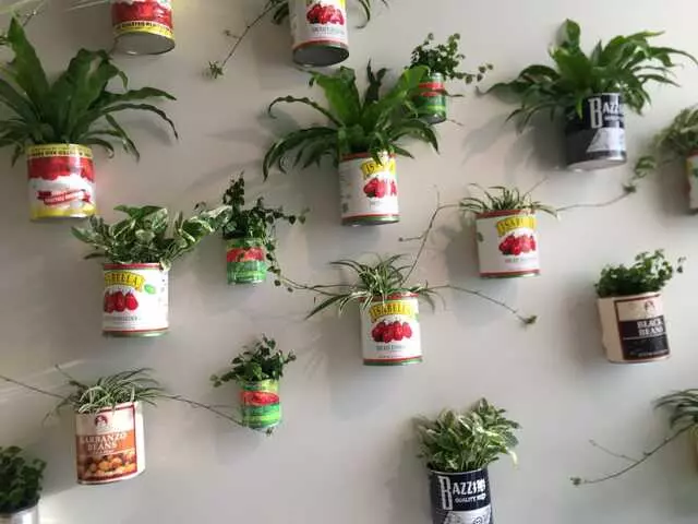 Alma Cocina Latina