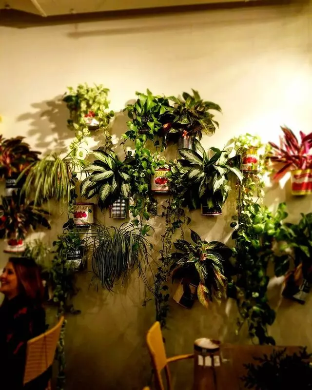 Alma Cocina Latina